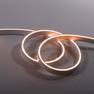 FL-NEON-AP0612F-S-50m