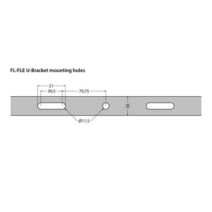 FL-FLE-300W-740-60D